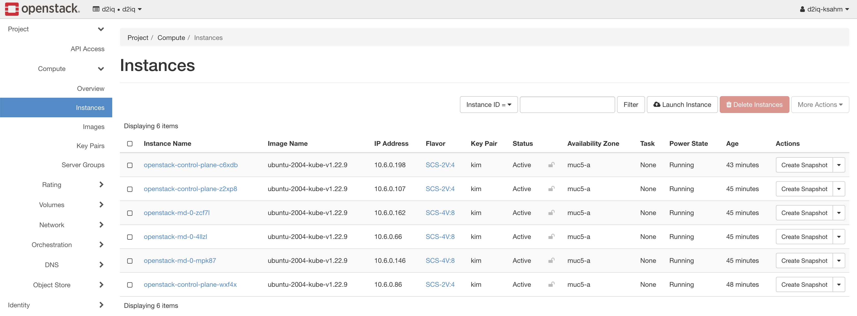 Launched VMs in OpenStack UI