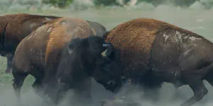 Conflict Resolution: Kubernetes Server-Side Apply